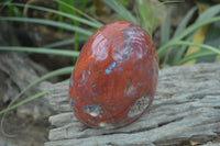 Polished Red Jasper Standing Free Form x 1 From Madagascar