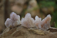 Natural Ametrine Spirit Quartz Crystals x 35 From Boekenhouthoek, South Africa