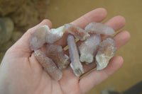 Natural Ametrine Spirit Quartz Crystals x 35 From Boekenhouthoek, South Africa