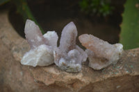 Natural Ametrine Spirit Quartz Crystals x 35 From Boekenhouthoek, South Africa