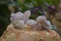 Natural Ametrine Spirit Quartz Crystals x 35 From Boekenhouthoek, South Africa