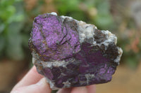 Natural Metallic Purpurite Cobbed Specimens x 6 From Erongo, Namibia