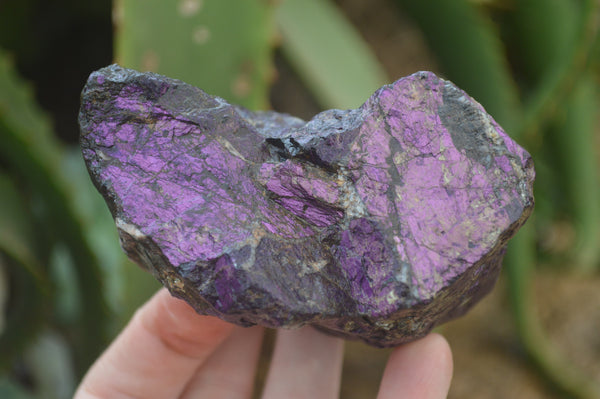 Natural Metallic Purpurite Cobbed Specimens x 6 From Erongo, Namibia