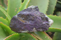 Natural Metallic Purpurite Cobbed Specimens x 6 From Erongo, Namibia