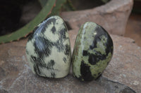 Polished Leopard Stone Standing Free Forms x 6 From Nyanga, Zimbabwe