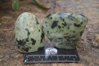 Polished Leopard Stone Standing Free Forms x 6 From Nyanga, Zimbabwe