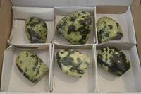 Polished Leopard Stone Standing Free Forms x 6 From Nyanga, Zimbabwe