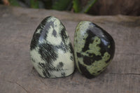 Polished Leopard Stone Standing Free Forms x 6 From Nyanga, Zimbabwe