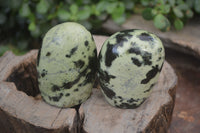 Polished Leopard Stone Standing Free Forms x 6 From Nyanga, Zimbabwe