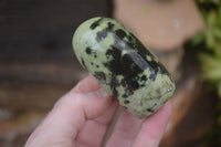 Polished Leopard Stone Standing Free Forms x 6 From Nyanga, Zimbabwe