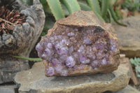 Natural Amethyst Spirit Quartz Cluster x 1 From Boekenhouthoek, South Africa