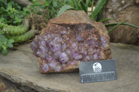 Natural Amethyst Spirit Quartz Cluster x 1 From Boekenhouthoek, South Africa