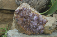 Natural Amethyst Spirit Quartz Cluster x 1 From Boekenhouthoek, South Africa