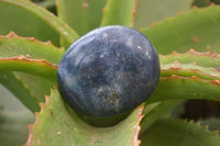 Polished Lazulite Galet-Palm Stones x 20 From Madagascar