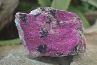 Natural Salrose Cobaltion Dolomite Specimens x 6 From Kakanda, Congo