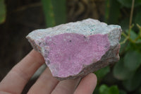 Natural Salrose Cobaltion Dolomite Specimens x 6 From Kakanda, Congo