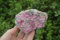 Natural Salrose Cobaltion Dolomite Specimens x 6 From Kakanda, Congo