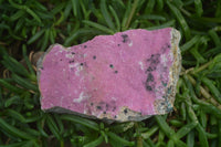 Natural Salrose Cobaltion Dolomite Specimens x 6 From Kakanda, Congo