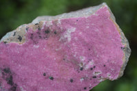 Natural Salrose Cobaltion Dolomite Specimens x 6 From Kakanda, Congo