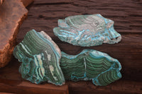 Polished Malacolla Slices x 3 From Kalukundi Mine, Congo