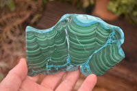 Polished Malacolla Slices x 3 From Kalukundi Mine, Congo