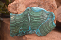 Polished Malacolla Slices x 3 From Kalukundi Mine, Congo