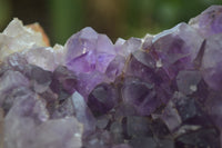 Natural Zululand Amethyst Geodes x 4 From Jozini, South Africa