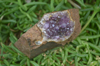 Natural Zululand Amethyst Geodes x 4 From Jozini, South Africa