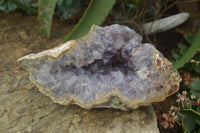 Natural Zululand Amethyst Geodes x 4 From Jozini, South Africa