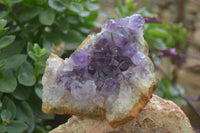 Natural Zululand Amethyst Geodes x 4 From Jozini, South Africa