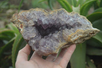 Natural Zululand Amethyst Geodes x 4 From Jozini, South Africa