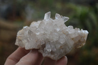 Natural Clear Quartz Clusters x 6 From Madagascar