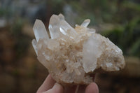 Natural Clear Quartz Clusters x 6 From Madagascar