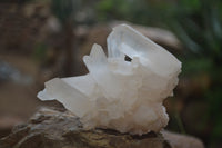 Natural Clear Quartz Clusters x 6 From Madagascar