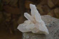 Natural Clear Quartz Clusters x 6 From Madagascar