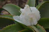 Natural Clear Quartz Clusters x 6 From Madagascar