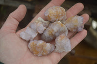 Natural Ametrine Spirit Quartz Clusters x 24 From Boekenhouthoek, South Africa