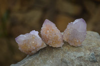 Natural Ametrine Spirit Quartz Clusters x 24 From Boekenhouthoek, South Africa