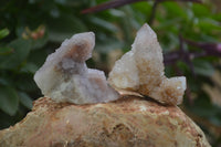 Natural Ametrine Spirit Quartz Clusters x 24 From Boekenhouthoek, South Africa