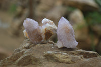 Natural Ametrine Spirit Quartz Clusters x 24 From Boekenhouthoek, South Africa