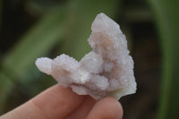 Natural Ametrine Spirit Quartz Clusters x 24 From Boekenhouthoek, South Africa