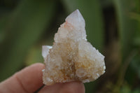 Natural Ametrine Spirit Quartz Clusters x 24 From Boekenhouthoek, South Africa