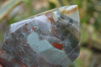 Polished Conglomerate Bloodstone Prism x 1 From Swaziland