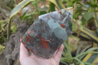 Polished Conglomerate Bloodstone Prism x 1 From Swaziland