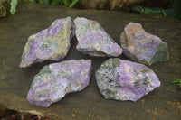 Natural Stichtite Cobbed Specimens x 5 From Barberton, South Africa