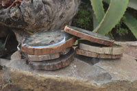 Polished Petrified Wood Slices x 6 From Gokwe, Zimbabwe