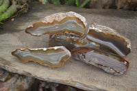 Polished On One Side River Agate Nodules x 5 From Limpopo, South Africa