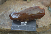 Polished On One Side River Agate Nodules x 5 From Limpopo, South Africa