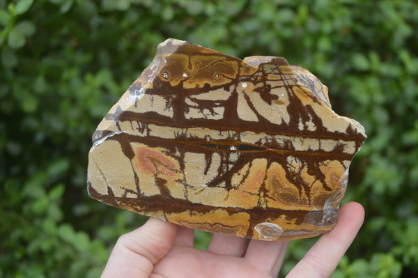 Polished On One Side Nguni Jasper Specimens x 2 From Prieska, South Africa