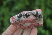 Natural Rhodonite Cobbed Specimens x 6 From Zimbabwe